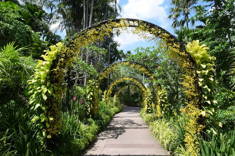 Singapore Botanic Gardens arch. Photo by LittleMouse.