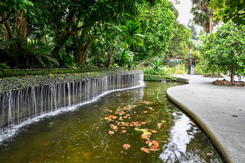 Singapore Botanic Gardens water cascade. Photo by Tom Allen.