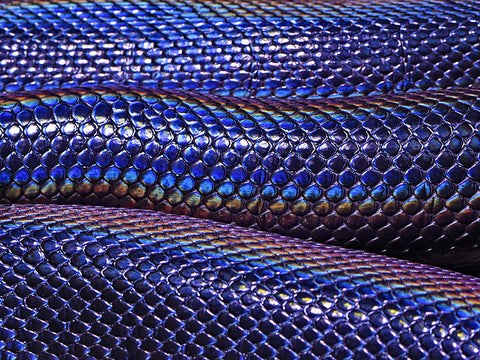 A close up of snake skin that resembles the colors in an oil slick.