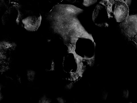 A human skull set in shadow