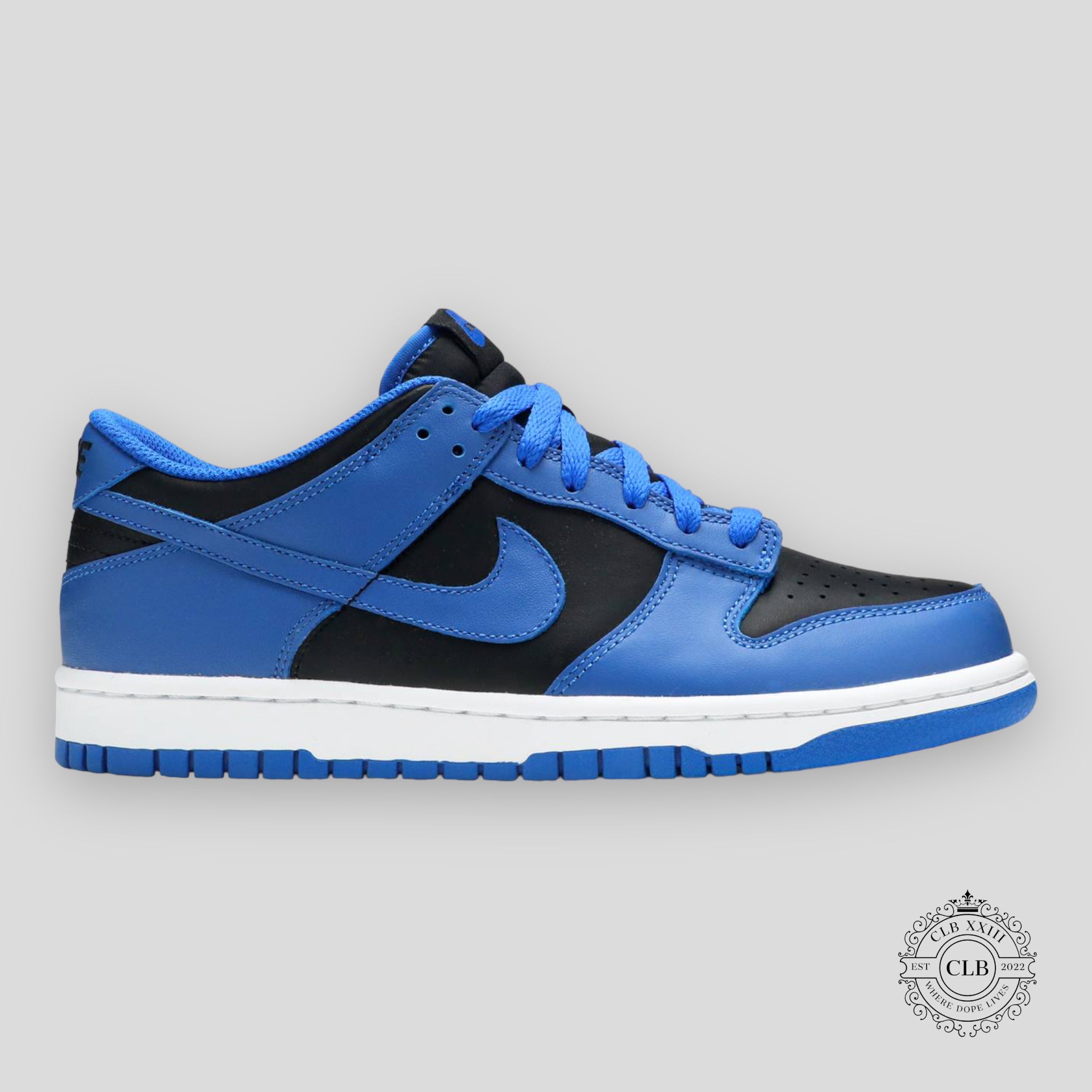 NIKE DUNK LOW (GS) 