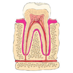 Dental Restoration ↪ Composite Bonding Teeth ↪ Medical Arts (1)