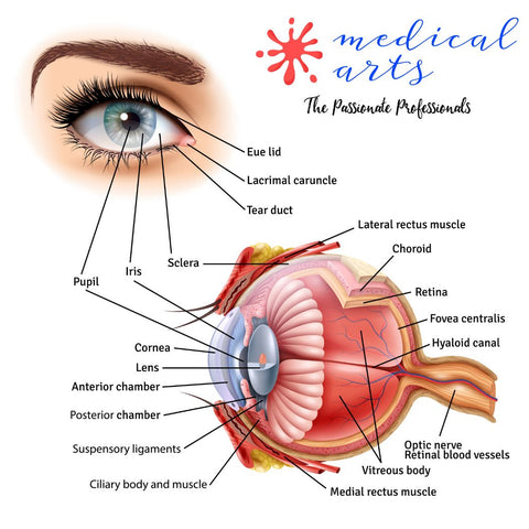 cataract - lens implant - eye surgery - medical arts 