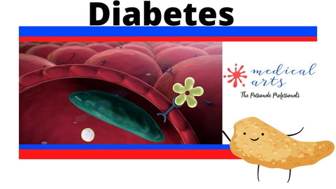 diabetes type 1 and type 2 Simplified explanation of causes and pathophysiology