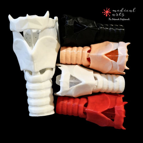 larynx 3d model medical arts