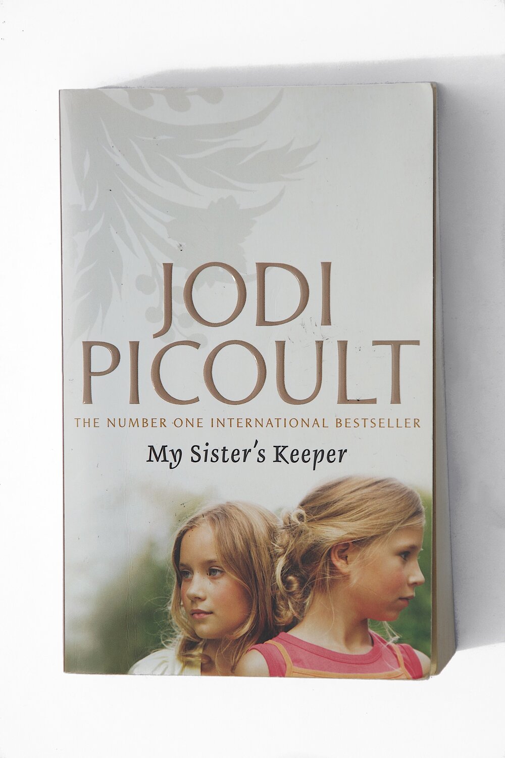 jodi picoult my sisters keeper