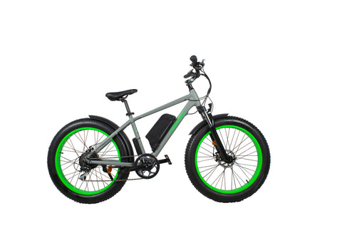 Mx002s 1000w electric mountain sales bike 4.0 fat tire