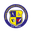stgcacademy.org-logo