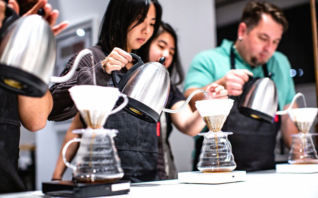 Several individuals are making pour over coffee with Bonavita kettles in a training class.