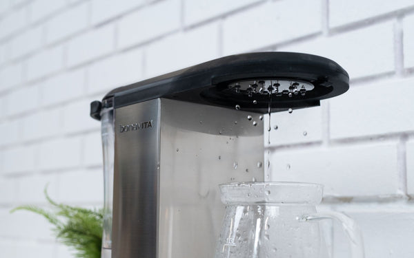 Water sprays out of the coffee brewer showerhead.