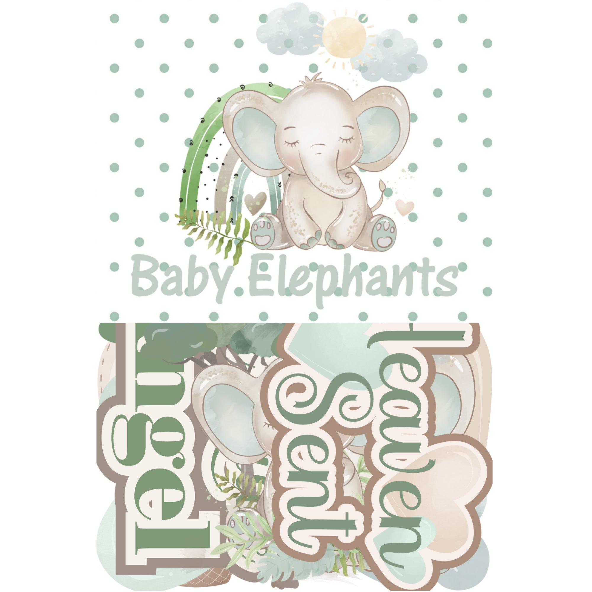 ELEPHANT BABY BOY RIGHT - 12 X 12 SCRAPBOOK OVERLAY
