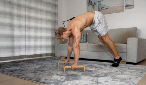 pike push-up parallettes