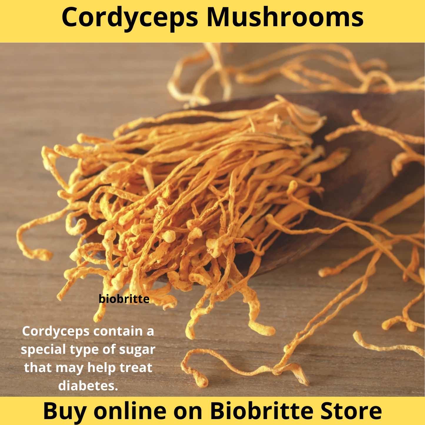 Cordyceps Mushroom Powder | Cordyceps Militaris Powder