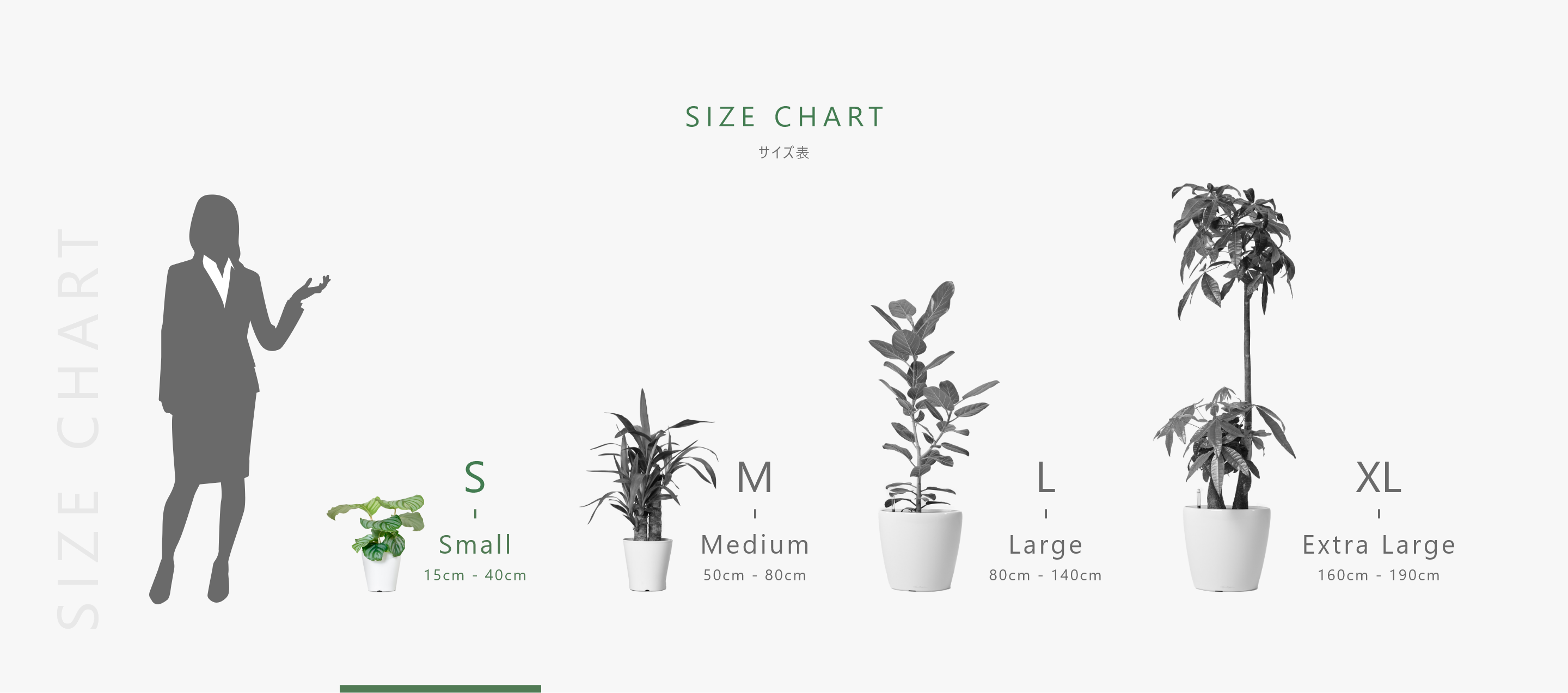 size-chart-s