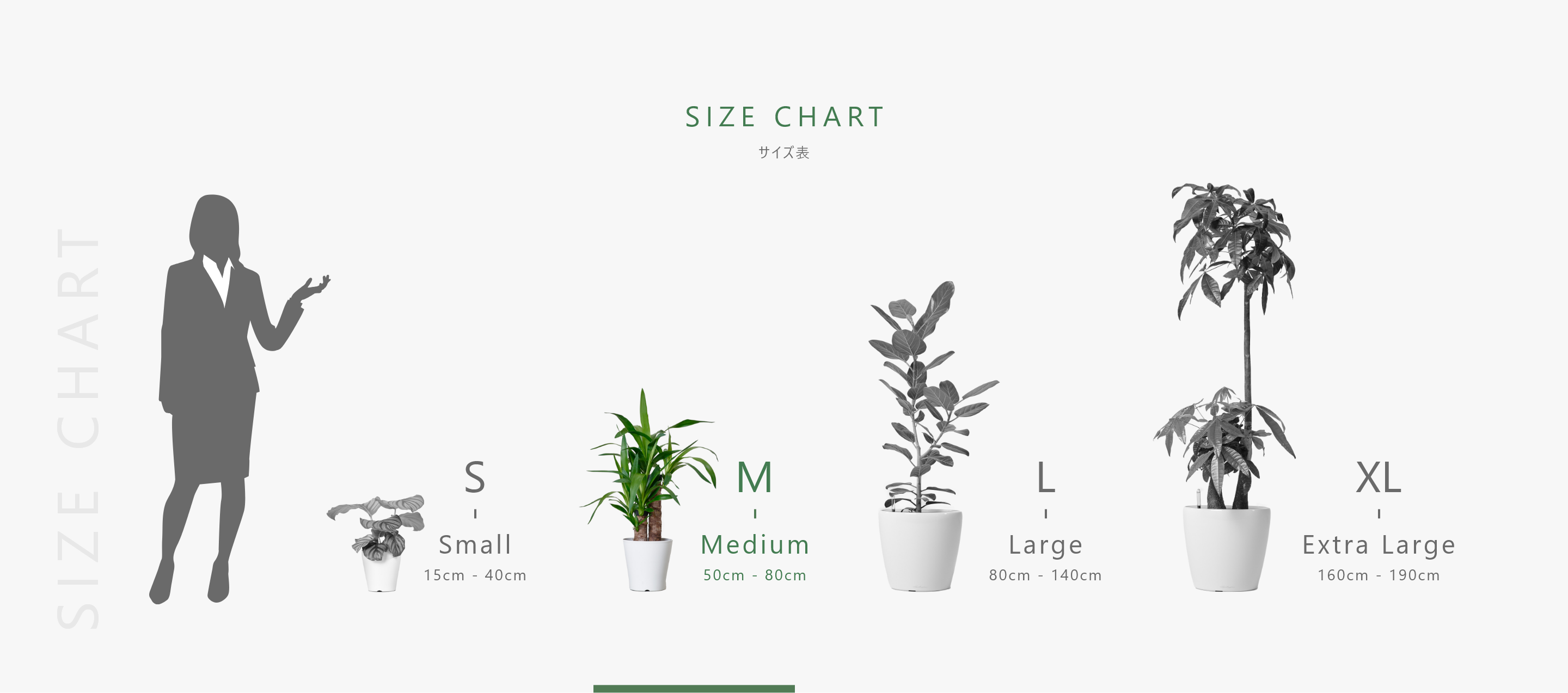 size-chart-m