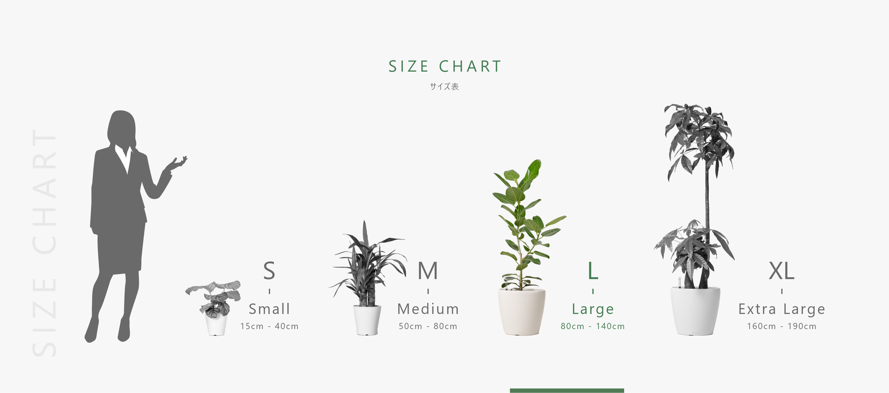 size-chart-l