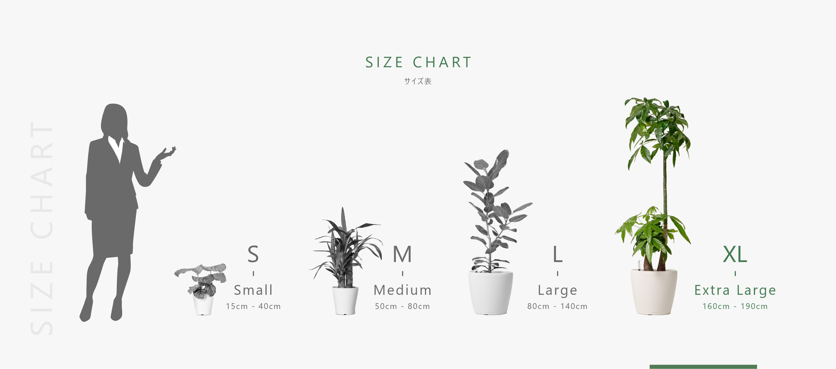 size-chart-xl