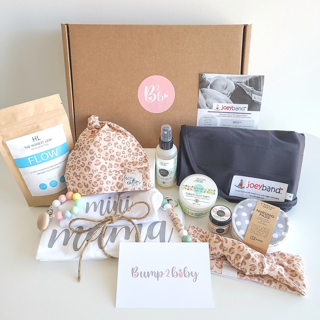 Pregnancy Subscription Box - 1st - 4th Trimester