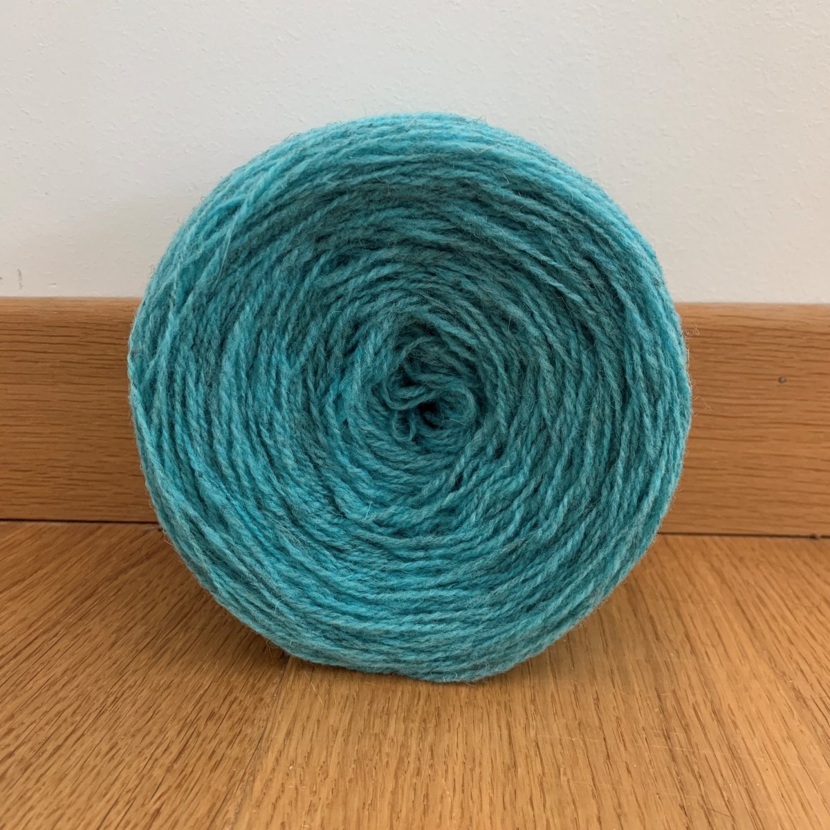 CC Fingering (100% Superwash Merino) by Camp Colour - Wool Trends