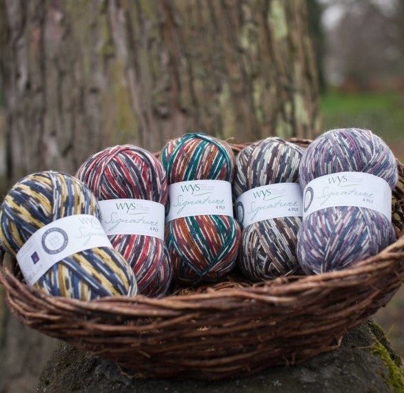 Signature 4 ply - West Yorkshire Spinners - Lili Comme Tout Fil