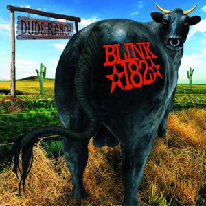 dude ranch blink 182 vinyl
