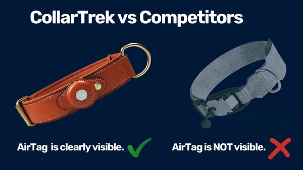 Best AirTag Dog Collar (CollarTrek vs Competitors)