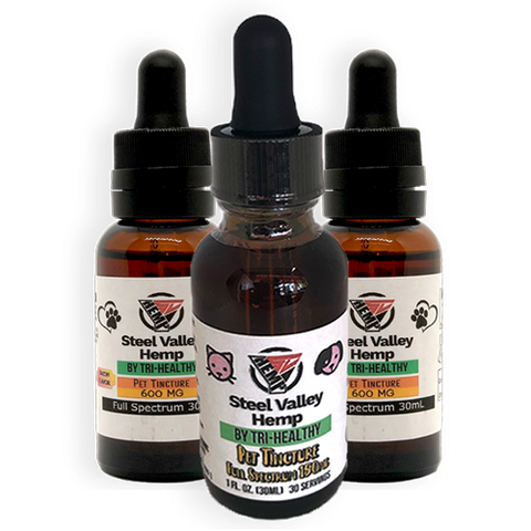 CBD-Relief-for-Large-and-Small-Pets
