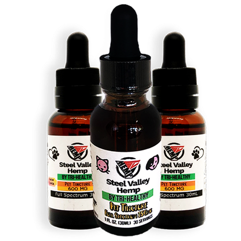 Can-CBD-Pet-Tinctures-Help-with-Summer-Storms