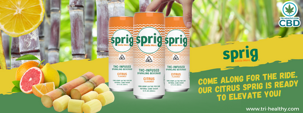 Tri-Healthy Sprig Isolate CBD Citrus Original Orange Can