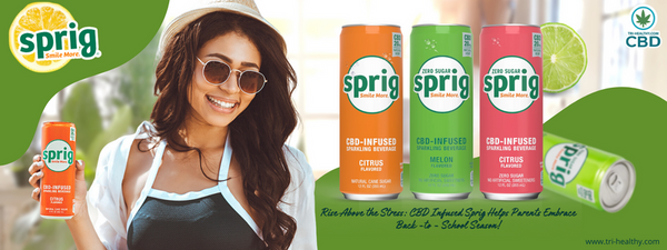 Rise Above the Stress CBD Infused Sprig Helps Parents Embrace Back-to-School Season!