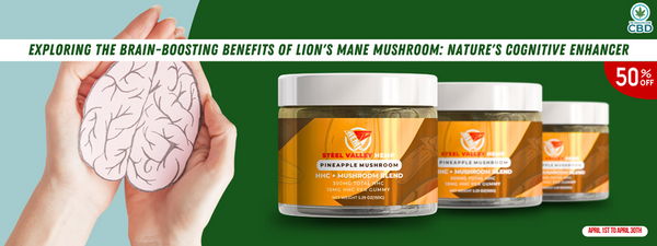 Exploring the Brain-Boosting Benefits of Lion's Mane Mushroom: Nature's Cognitive Enhancer in Steel Valley Hemp's Black Pineapple Mushroom Gummy!