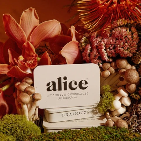 Photo of Alice Mushrooms tin surrounded by flowers.