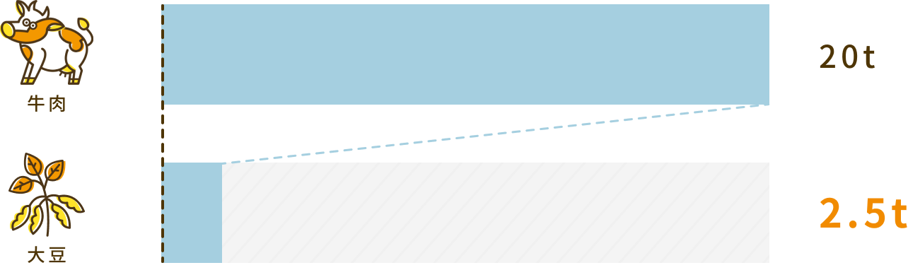 牛肉:20t 大豆2.5t