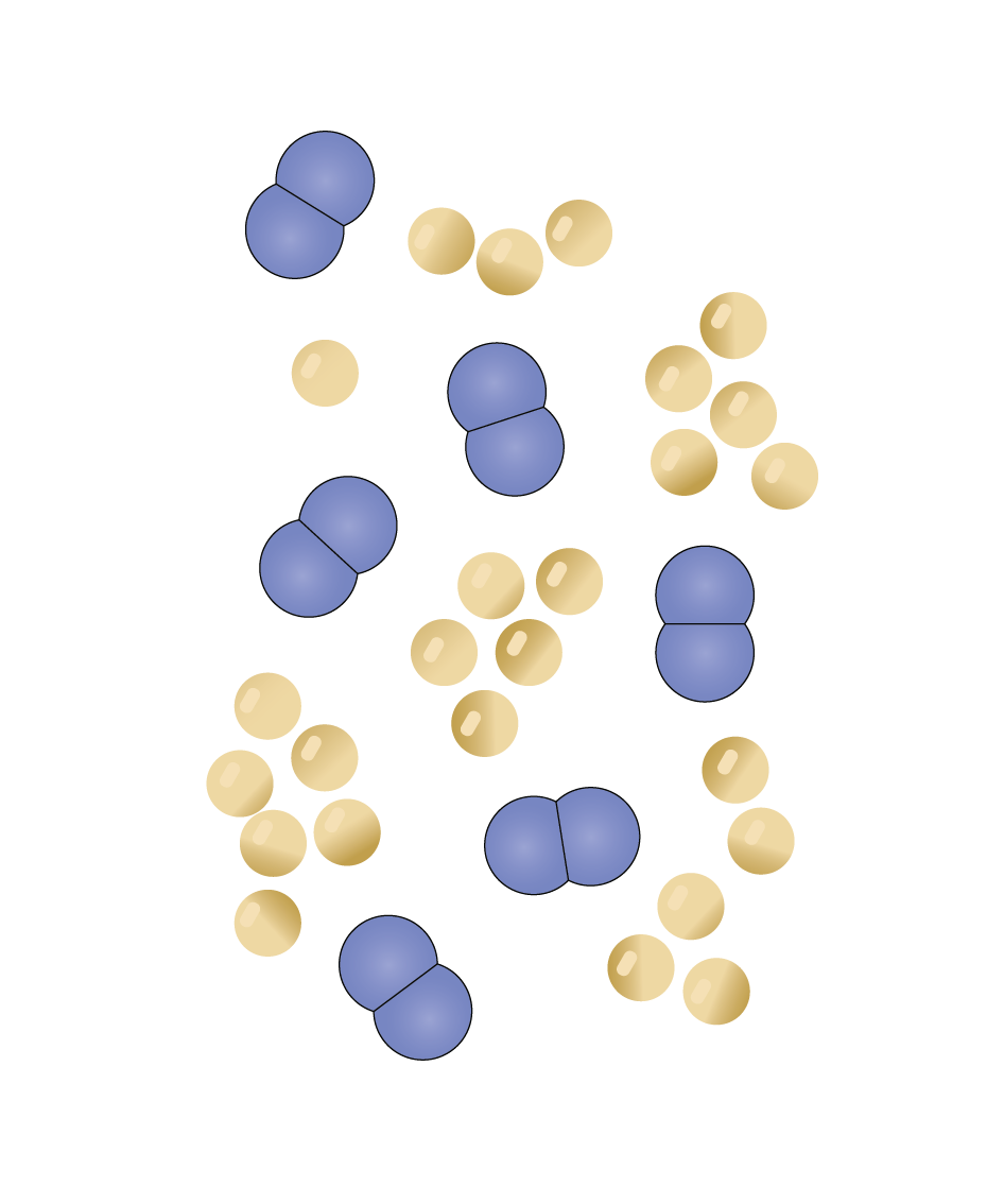 Illustration of Staphylococcus Epidermidis + Aureus