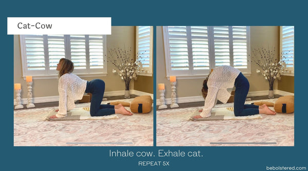 gentle yoga flows gentle yoga flows reduce stress exercise - cat cow