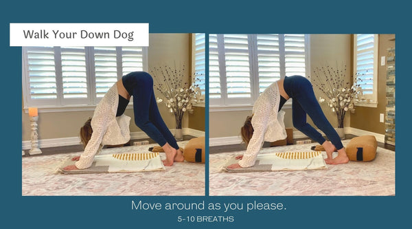 gentle yoga flows gentle yoga flows reduce stress exercise - downward facing dog