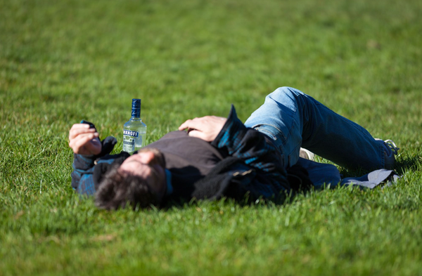 hungover person laying in a field