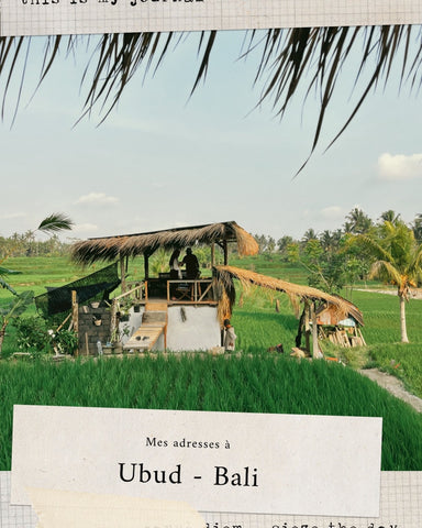 ubud adresses restaurant hotel aymumy bali indonesie vacances rizières rice terraces adress good