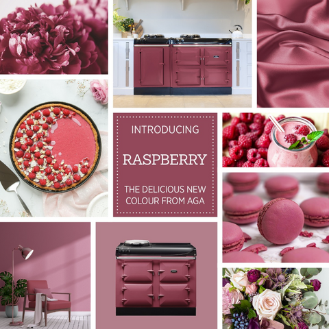Collage of Raspberry Coloured Objects and a Raspberry Coloured Aga