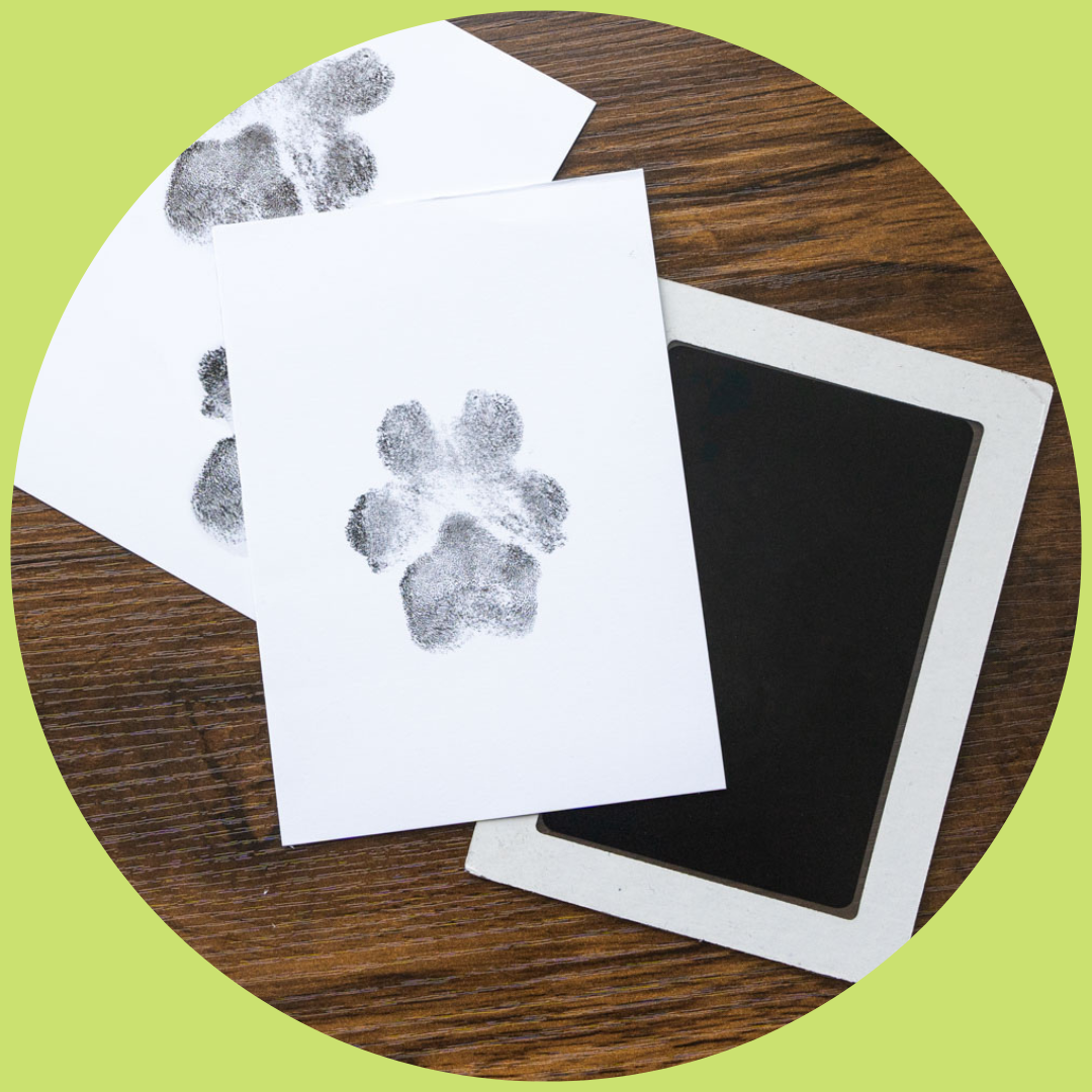 Sporgo Kit d'empreintes de pattes de chien et chat : cadre photo