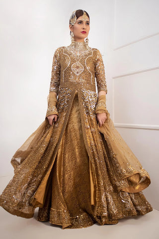 Pakistani Wedding Dress