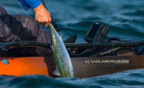 Albies: Chasing Lightning From Shore With A Fly Rod - Flies and Fins