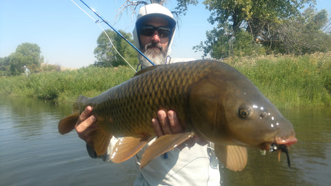 Carp Fishing