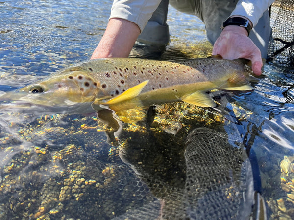 Standing without fish! Trout angler portraits in New Zealand