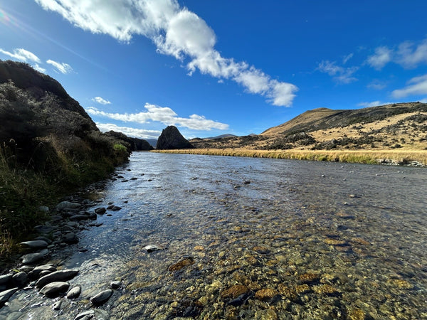 Fly Fishing in New Zealand