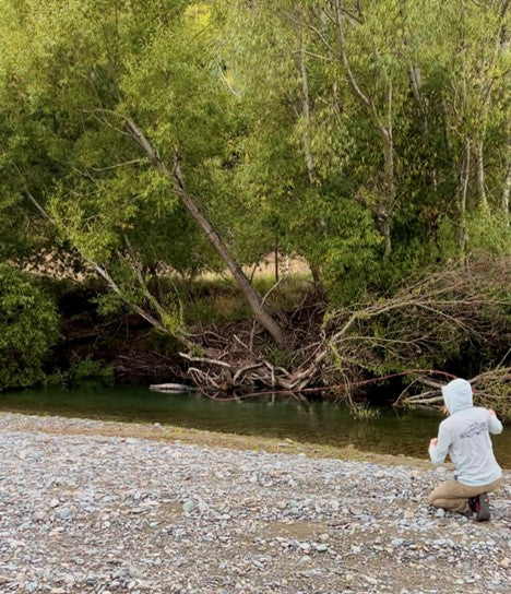Sight Fishing for Brown Trout in New Zealand