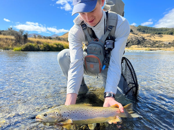Brown Trout Fly Fishing in New Zealand