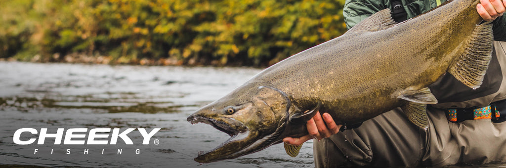 Shop Quality Salmon & Steelhead at Best Prices From - Cheeky Fishing