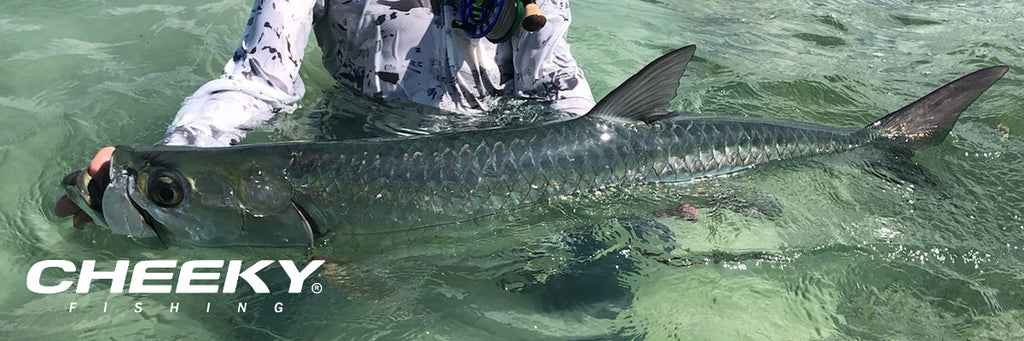 What do you look for in a Tarpon reel?