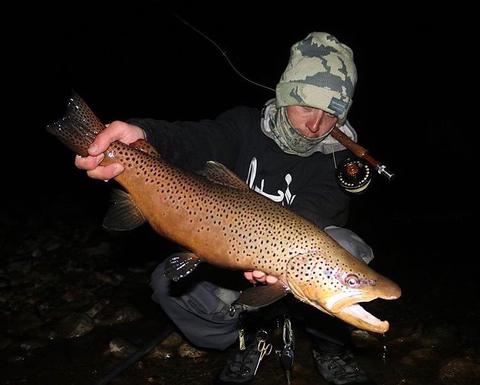 Night Fishing for Brown Trout - Caffeinated Fly FisherCaffeinated Fly Fisher